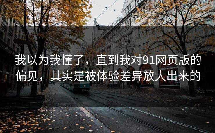 我以为我懂了，直到我对91网页版的偏见，其实是被体验差异放大出来的