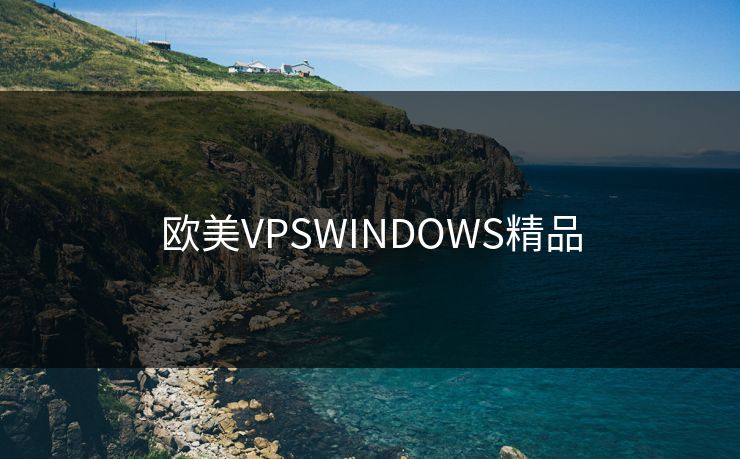 欧美VPSWINDOWS精品