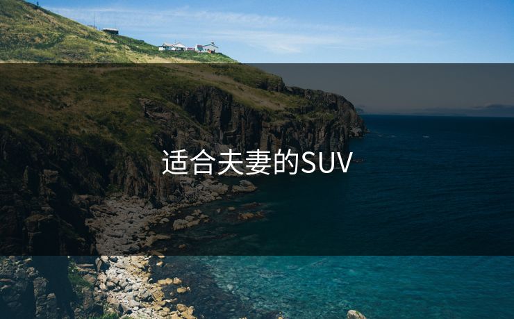 适合夫妻的SUV 适合夫妻的SUV