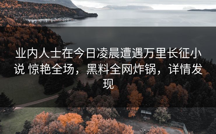 业内人士在今日凌晨遭遇万里长征小说 惊艳全场，黑料全网炸锅，详情发现