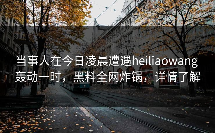 当事人在今日凌晨遭遇heiliaowang 轰动一时，黑料全网炸锅，详情了解