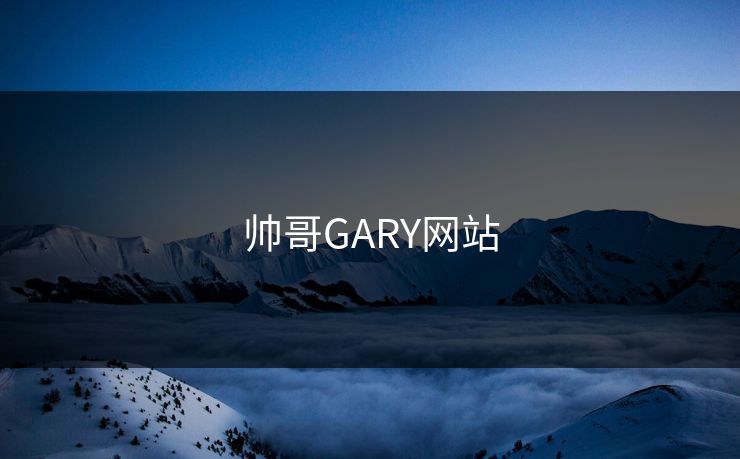 帅哥GARY网站